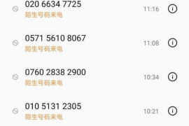 长乐给贝先生讨债：债务纠纷中的法律策略与应对