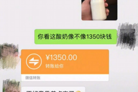 支付宝平台车险客服催收:如何应对与应对策略 支付宝平台车险客服催收:如何应对与应对策略